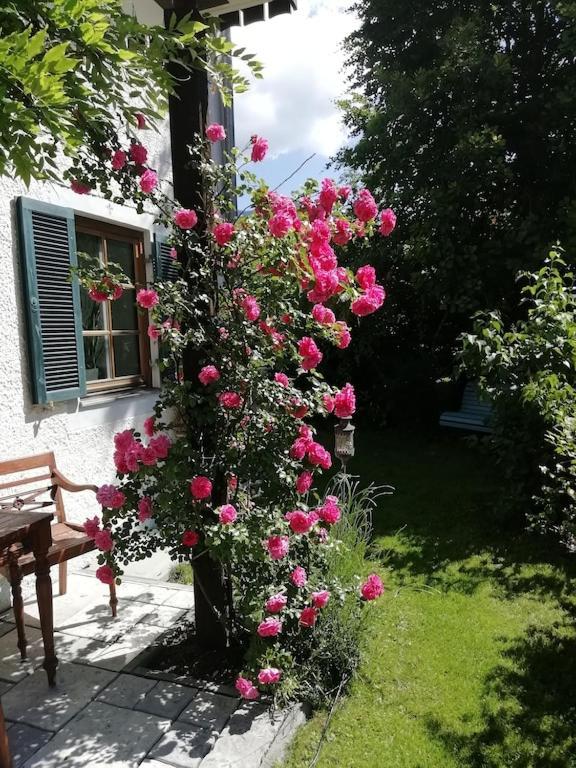 'Sissi' Ein Zaubehaftes Apartement Im Modernen Landhausstil Oberammergau Zewnętrze zdjęcie