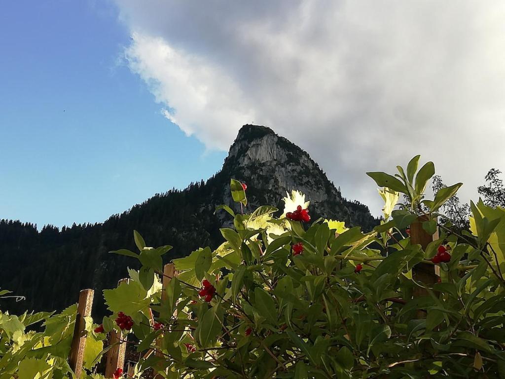 'Sissi' Ein Zaubehaftes Apartement Im Modernen Landhausstil Oberammergau Zewnętrze zdjęcie